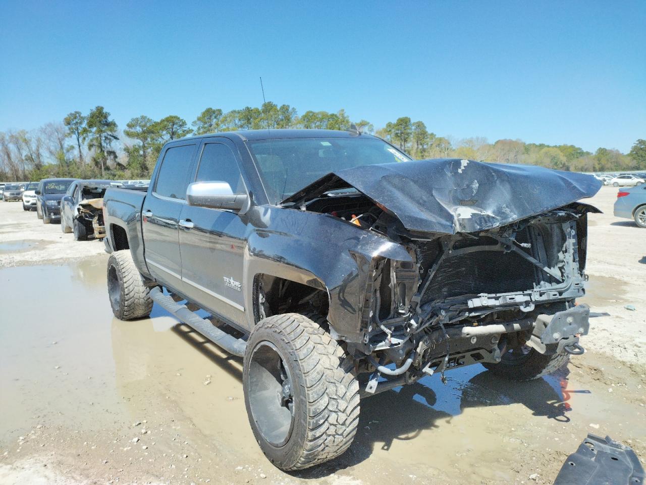 CHEVROLET SILVERADO 2017 with VIN 3GCPCSEC5HG134448 - Photo from auction