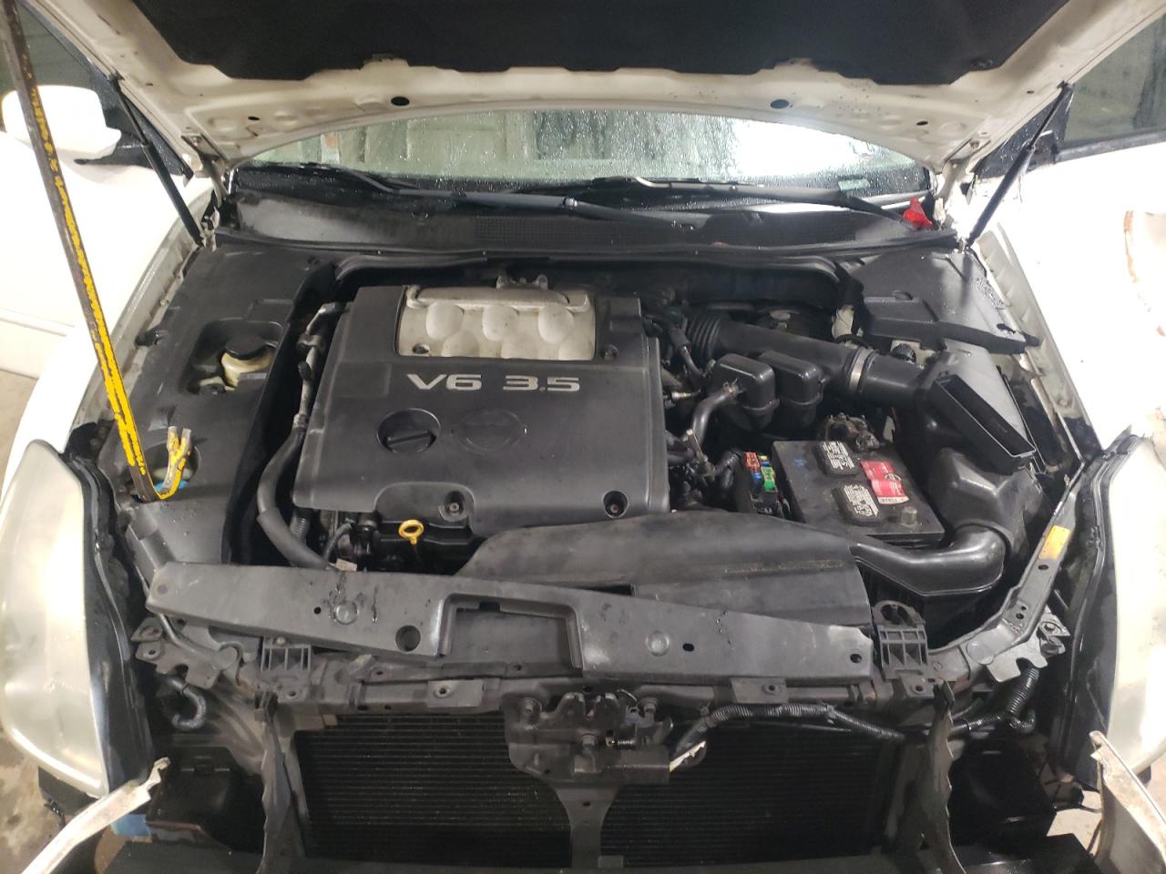Photo 7 from auction – 2004 NISSAN MAXIMA SE with VIN 1N4BA41E44C808403