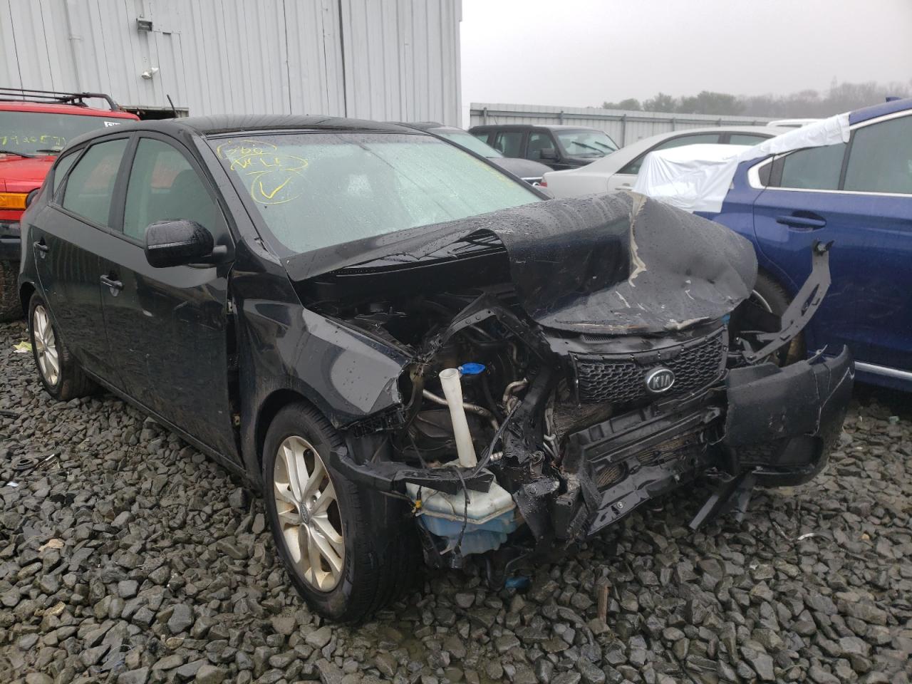 KIA FORTE EX 2012 with VIN KNAFU5A22C5616296 - Photo from auction