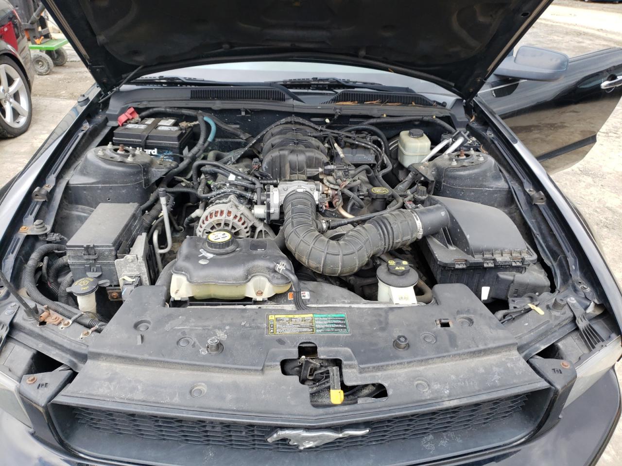Photo 7 from auction – 2005 FORD MUSTANG with VIN 1ZVHT84N255254427