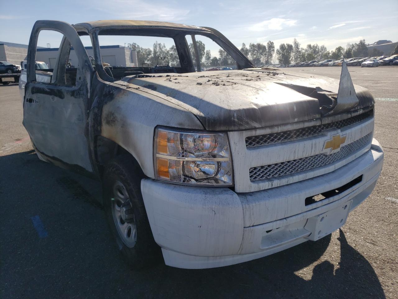 CHEVROLET SILVERADO 2013 with VIN 1GCNCPEX4DZ406828 - Photo from auction