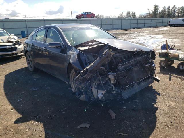 ACURA TL 2009 with VIN 19UUA96219A001419 - Photo from auction
