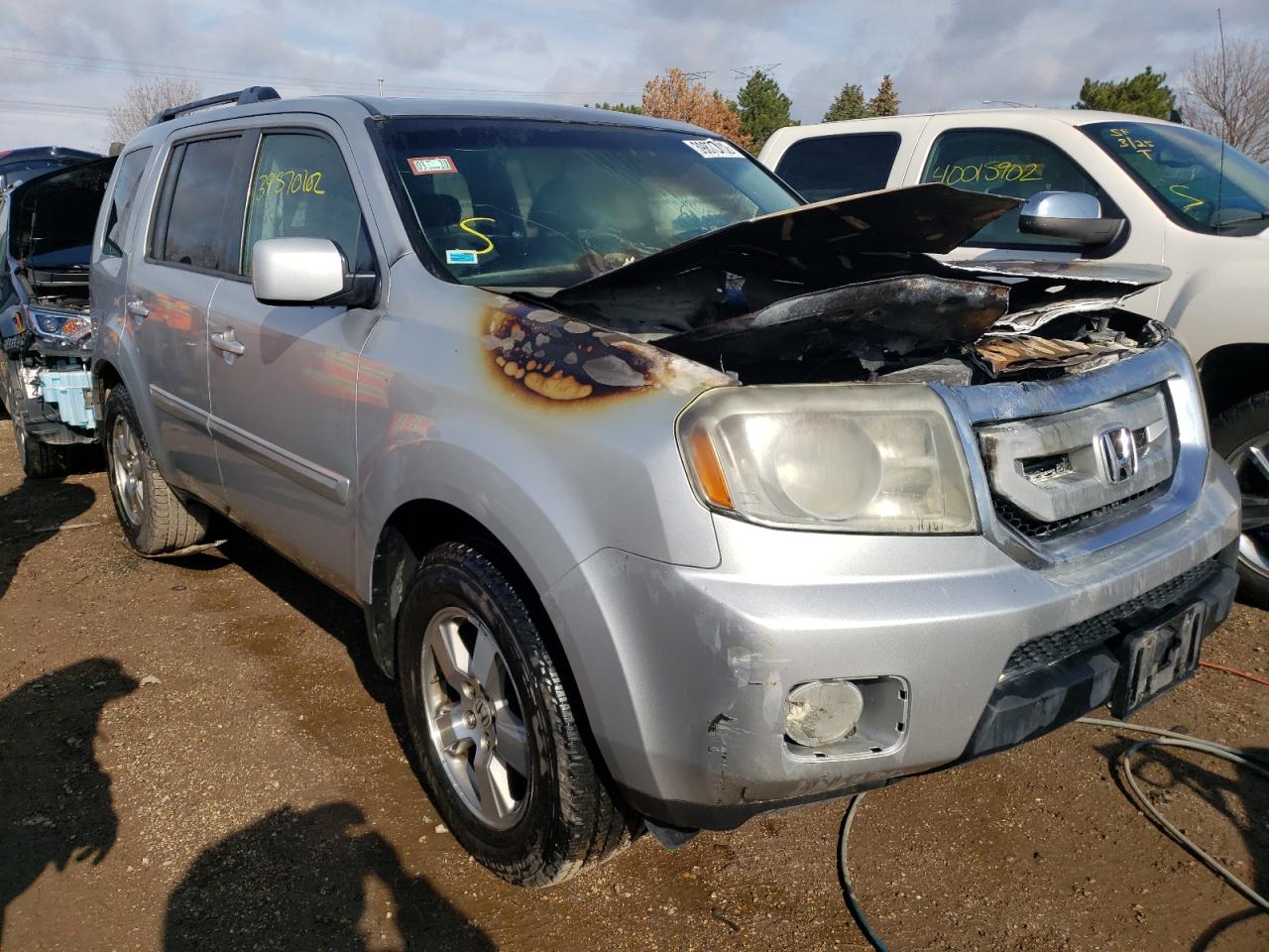 HONDA PILOT EXL 2010 with VIN 5FNYF4H60AB003291 - Photo from auction