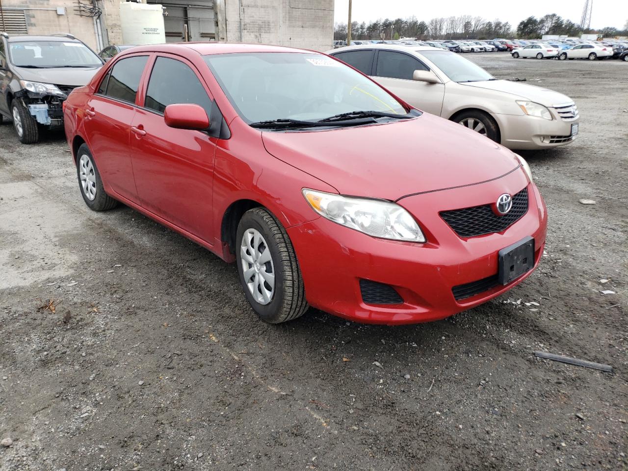 TOYOTA COROLLA 2010 with VIN 2T1BU4EE1AC524323 - Photo from auction