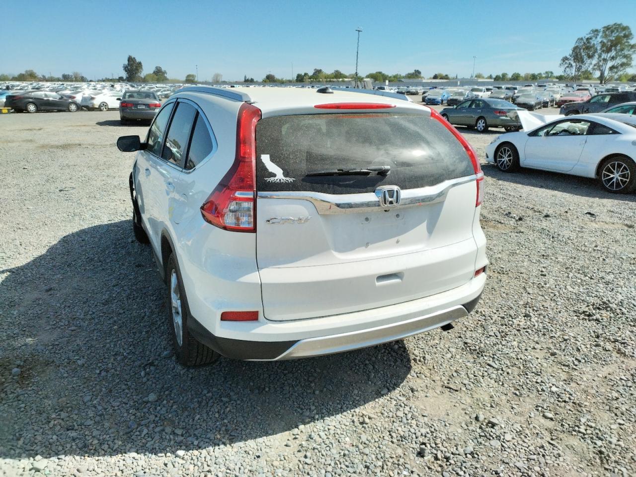 Photo 3 from auction – 2015 HONDA CR-V EXL with VIN 5J6RM3H71FL013968