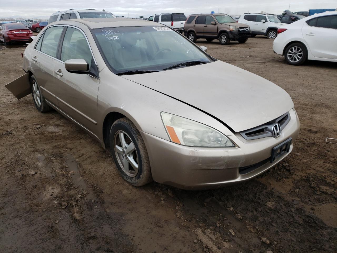 HONDA ACCORD 2004 with VIN JHMCM56834C019270 - Photo from auction