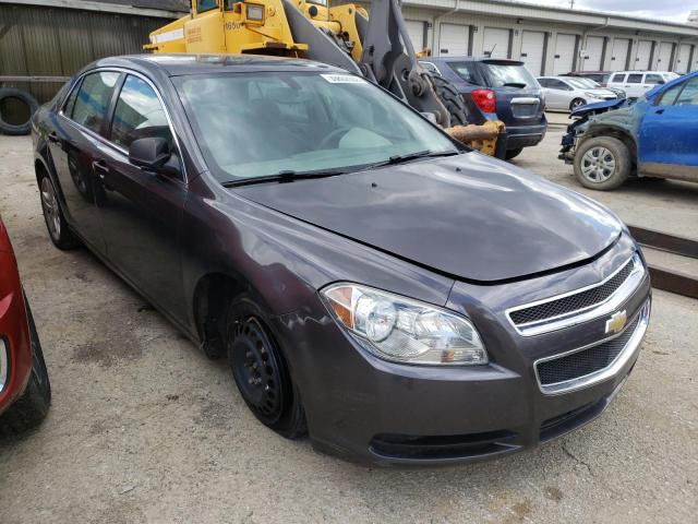 CHEVROLET MALIBU 2012 with VIN 1G1ZB5E08CF253388 - Photo from auction