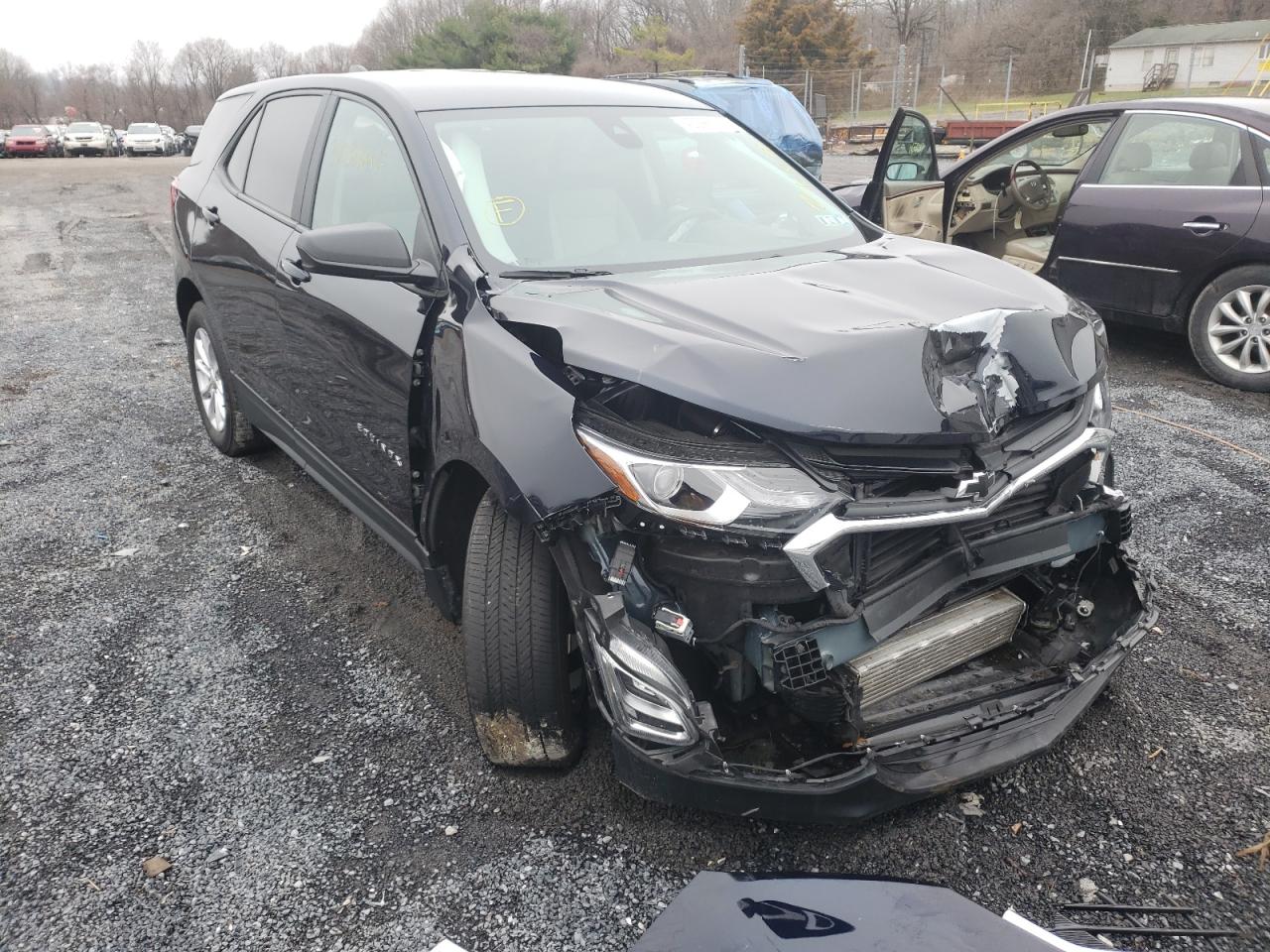 CHEVROLET EQUINOX LS 2021 with VIN 3GNAXSEV6MS101825 - Photo from auction