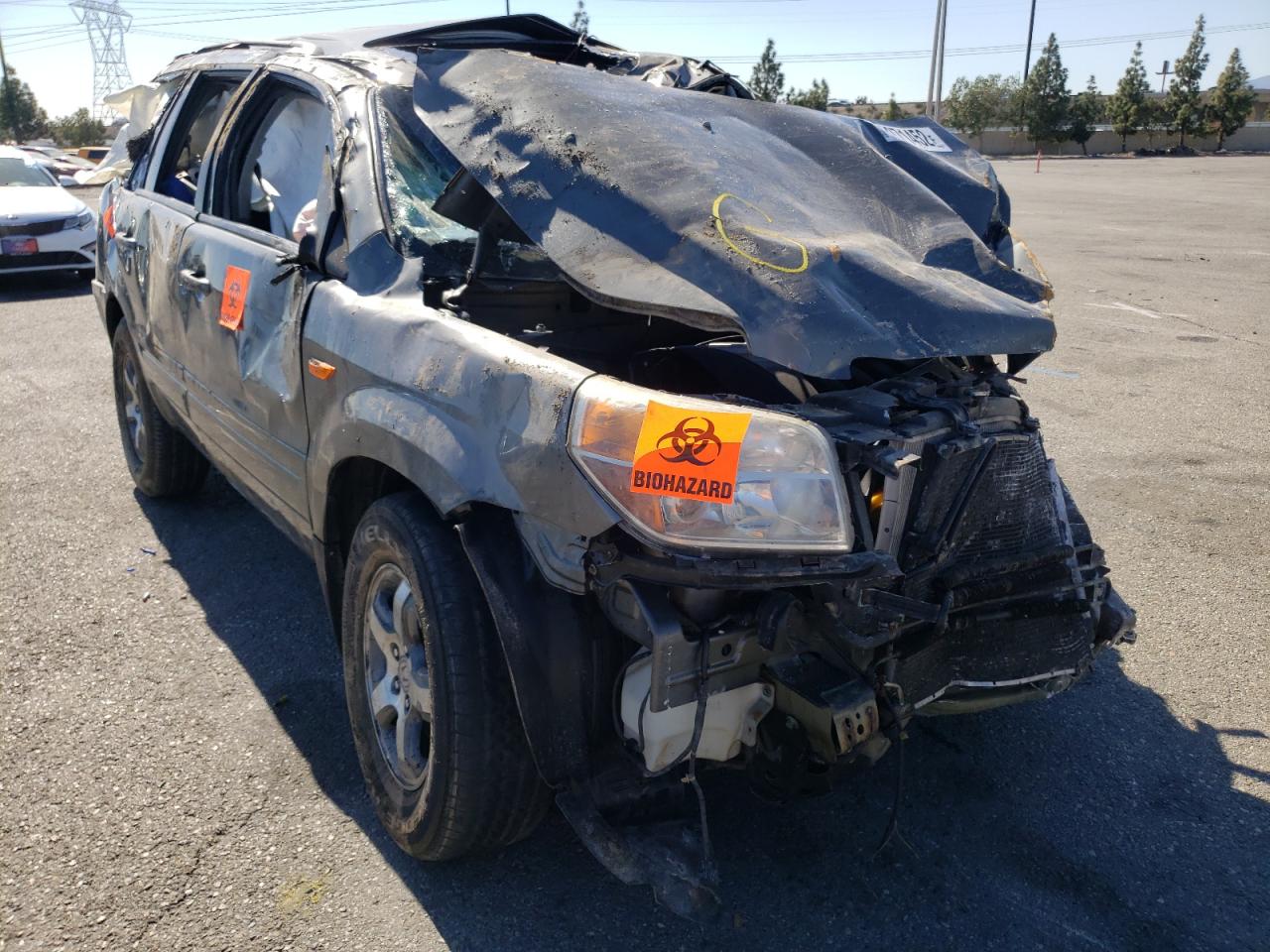 HONDA PILOT EXL 2007 with VIN 5FNYF18557B019064 - Photo from auction