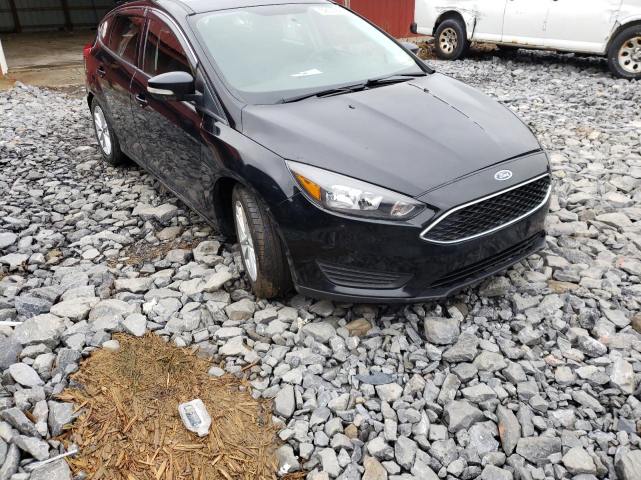 FORD FOCUS SE 2016 with VIN 1FADP3K20GL204289 - Photo from auction