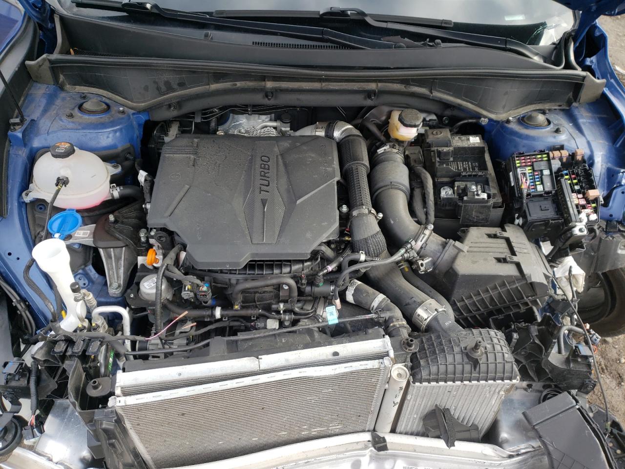 Photo 7 from auction – 2021 KIA SORENTO SX with VIN 5XYRKDLF0MG040264
