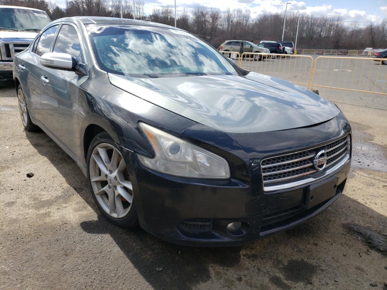 NISSAN MAXIMA S 2009 with VIN 1N4AA51E89C823592 - Photo from auction
