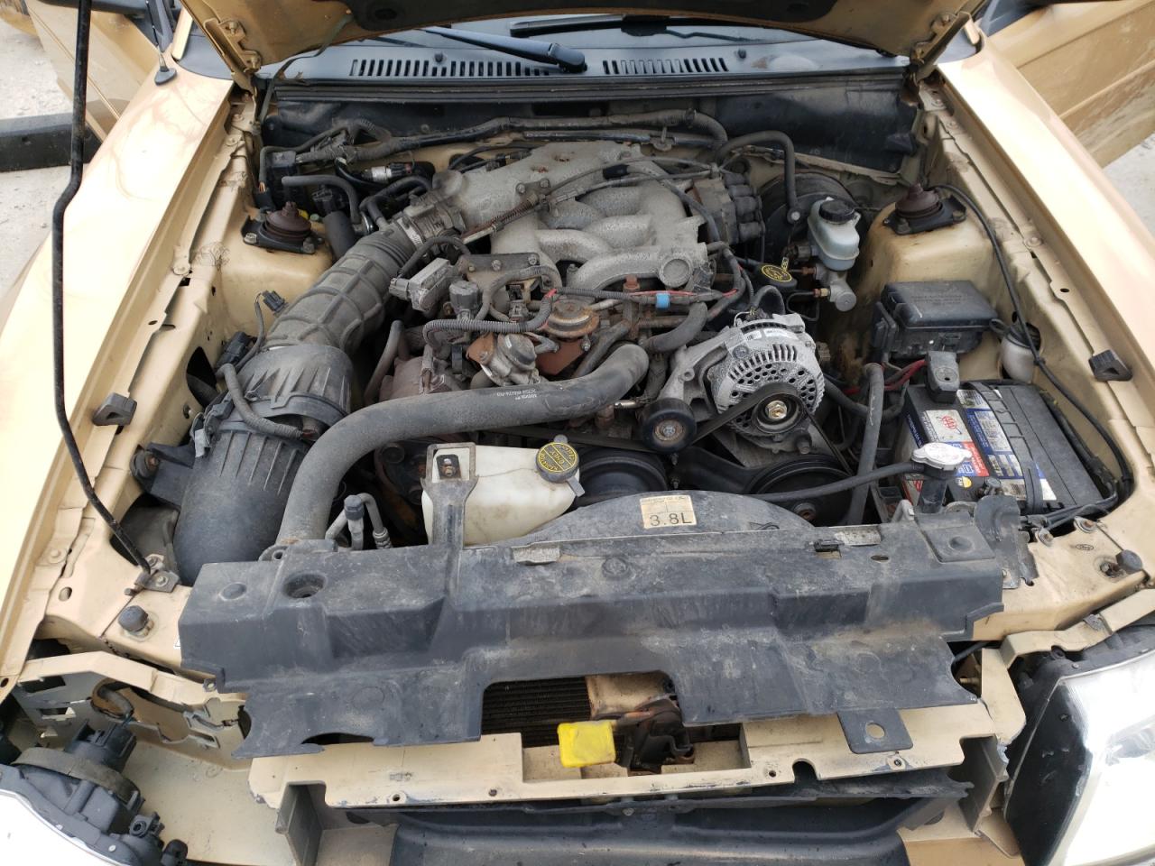 Photo 7 from auction – 2000 FORD MUSTANG with VIN 1FAFP4446YF258502