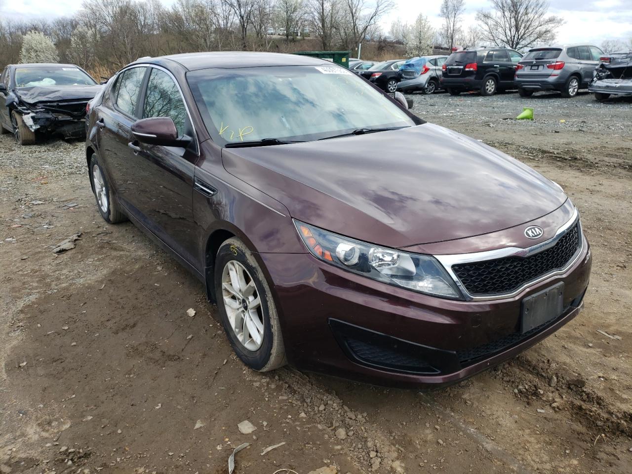 KIA OPTIMA LX 2011 with VIN KNAGM4A73B5099566 - Photo from auction