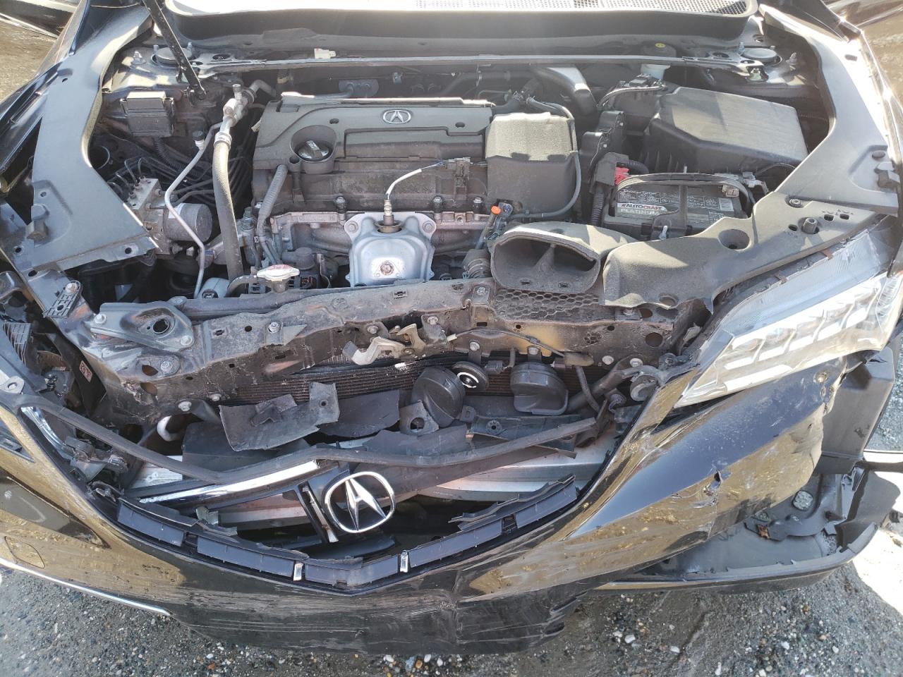 Photo 7 from auction – 2016 ACURA TLX TECH with VIN 19UUB1F50GA009078