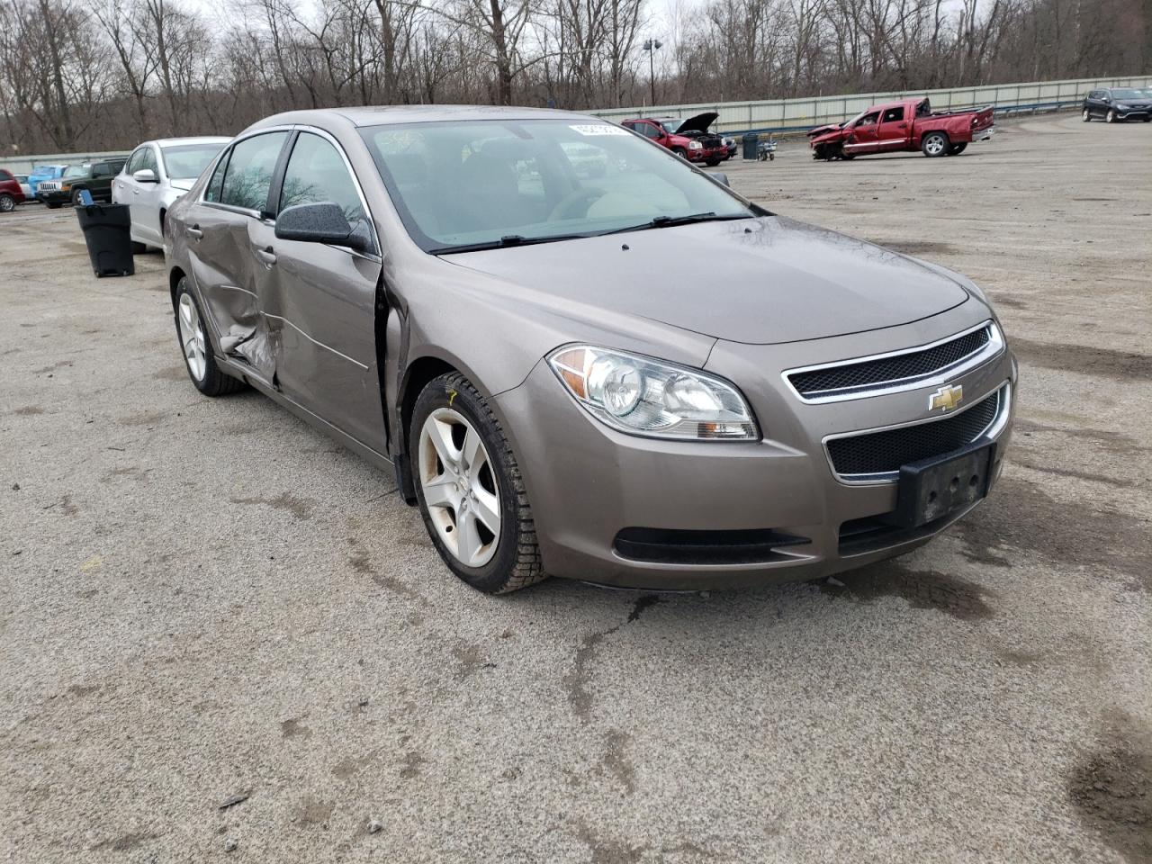 CHEVROLET MALIBU LS 2010 with VIN 1G1ZB5EB7AF318729 - Photo from auction