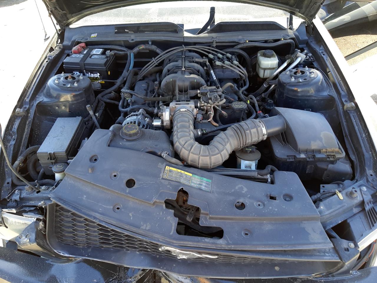 Photo 7 from auction – 2007 FORD MUSTANG with VIN 1ZVFT80N375364483