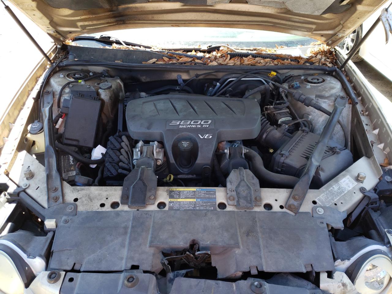 Photo 7 from auction – 2005 BUICK LACROSSE C with VIN 2G4WD532451213176