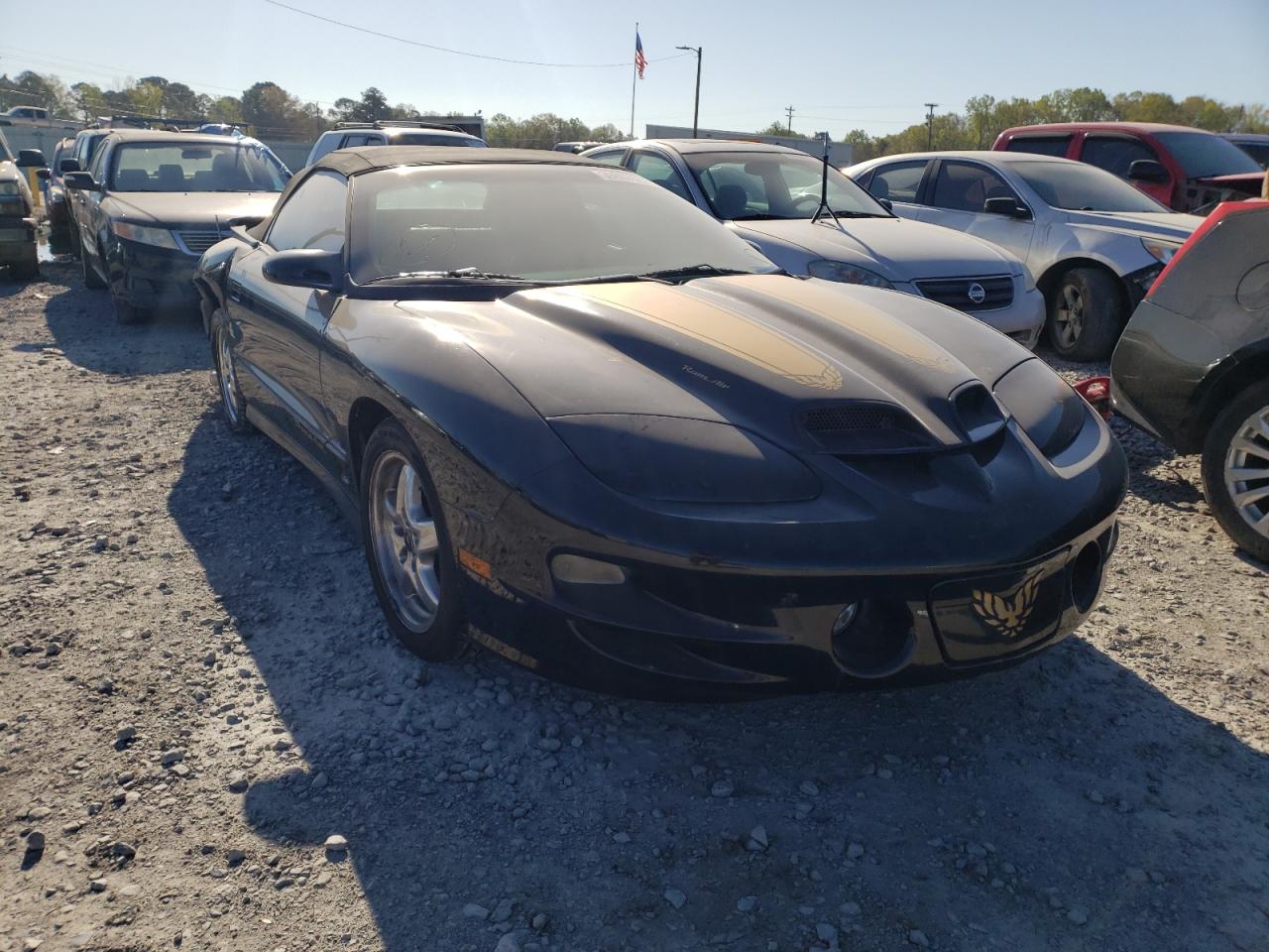 PONTIAC FIREBIRD T 2002 with VIN 2G2FV32G722162334 - Photo from auction