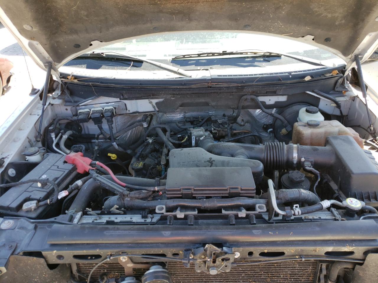 Photo 7 from auction – 2010 FORD F150 with VIN 1FTMF1CW2AFC54197
