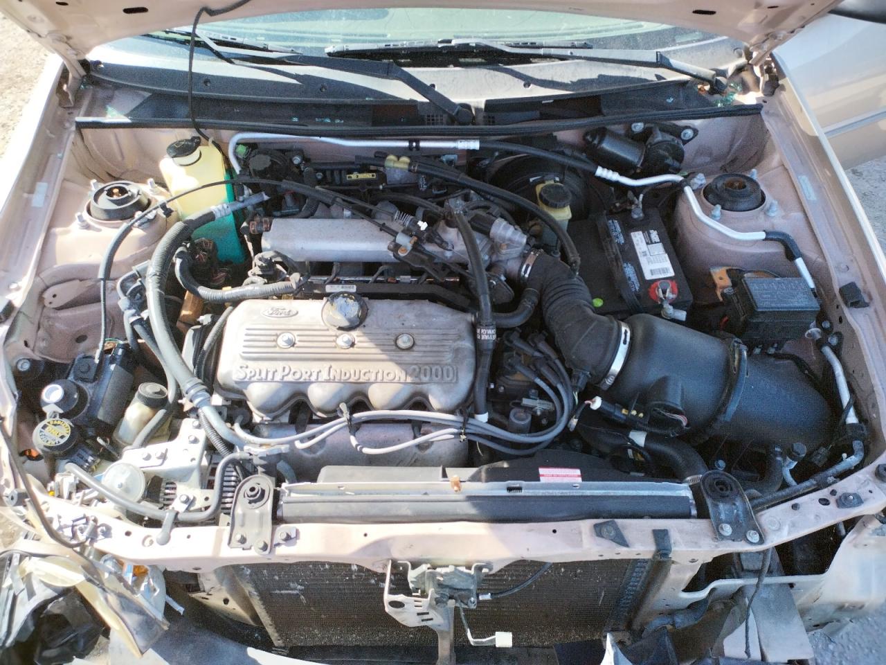 Photo 7 from auction – 1998 FORD ESCORT SE with VIN 1FAFP13P8WW148235