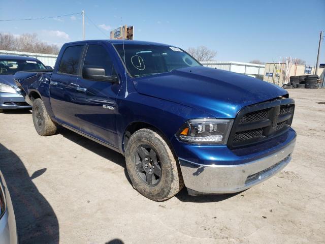 DODGE RAM 1500 2010 with VIN 1D7RB1CP2AS120054 - Photo from auction