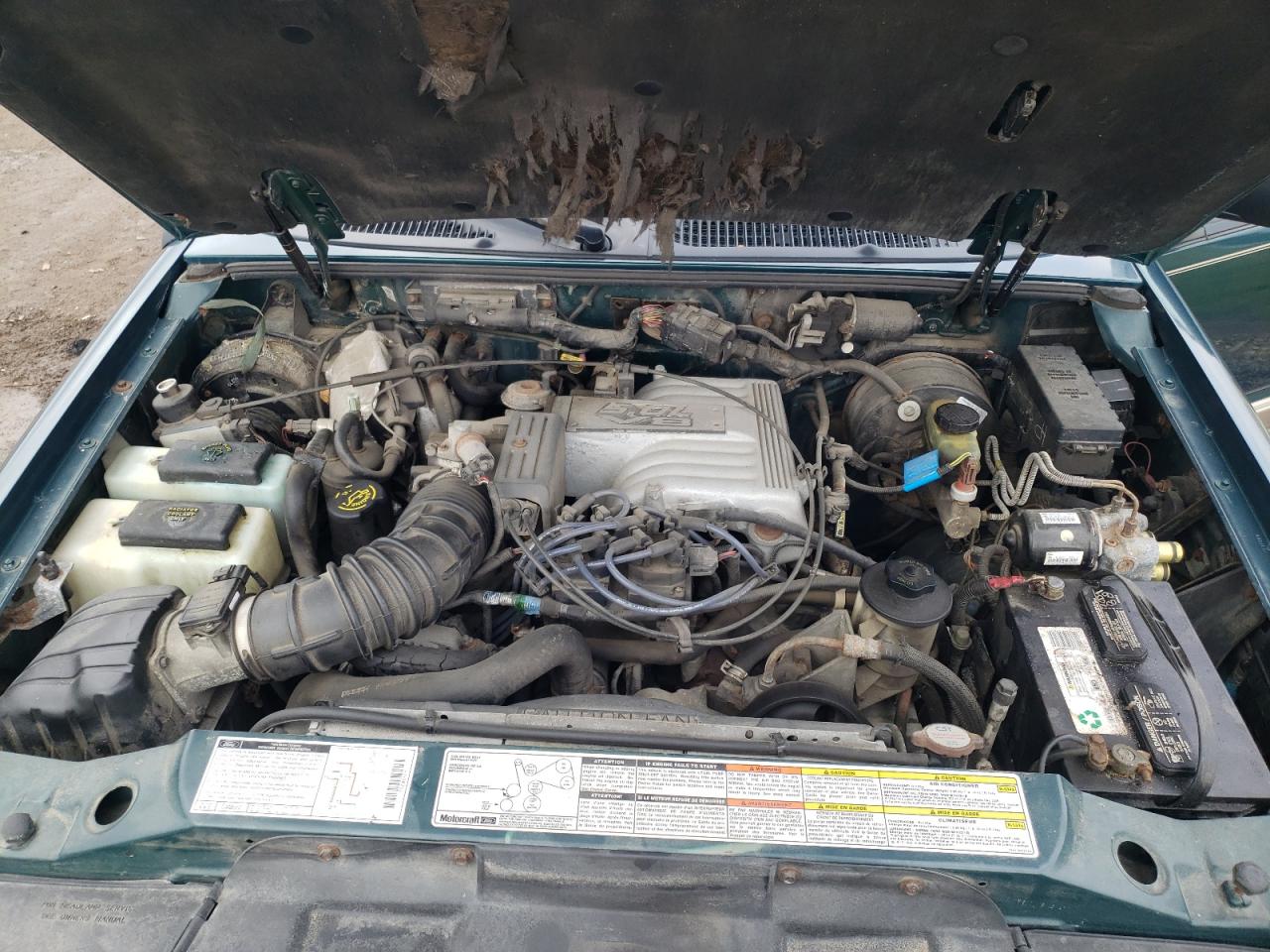 Photo 7 from auction – 1997 FORD EXPLORER with VIN 1FMDU35P9VUB33350
