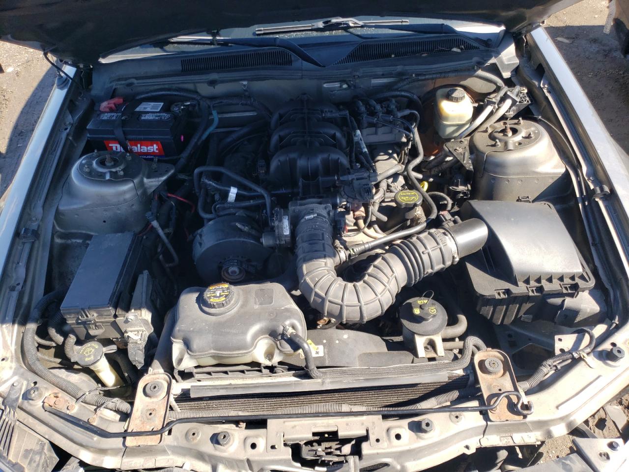 Photo 7 from auction – 2005 FORD MUSTANG with VIN 1ZVFT80N955205755