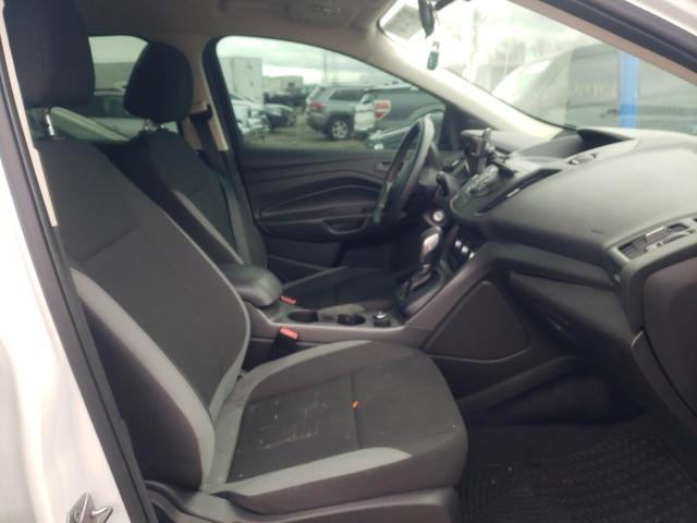 Photo 5 from auction – 2013 FORD ESCAPE S with VIN 1FMCU0F78DUC60808