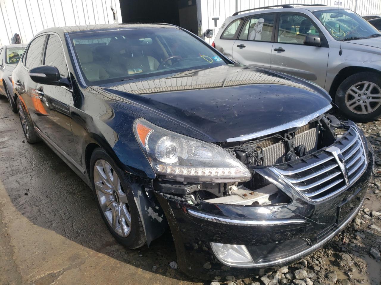 HYUNDAI EQUUS SIGN 2011 with VIN KMHGH4JF6BU033383 - Photo from auction