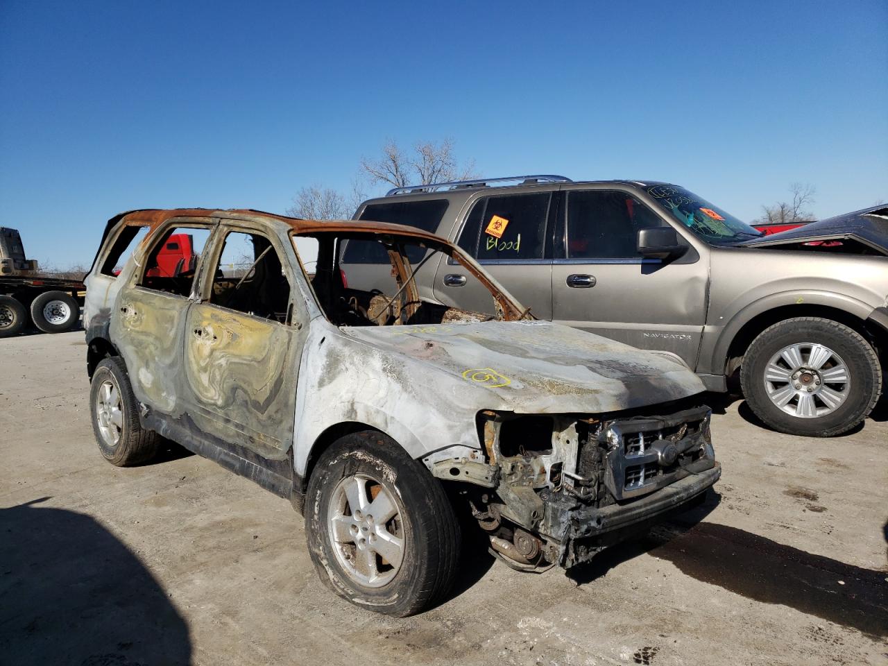 FORD ESCAPE XLT 2008 with VIN 1FMCU93168KC17283 - Photo from auction