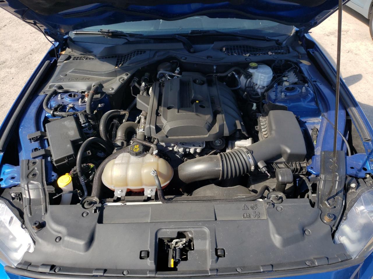 Photo 7 from auction – 2018 FORD MUSTANG with VIN 1FA6P8TH2J5179304
