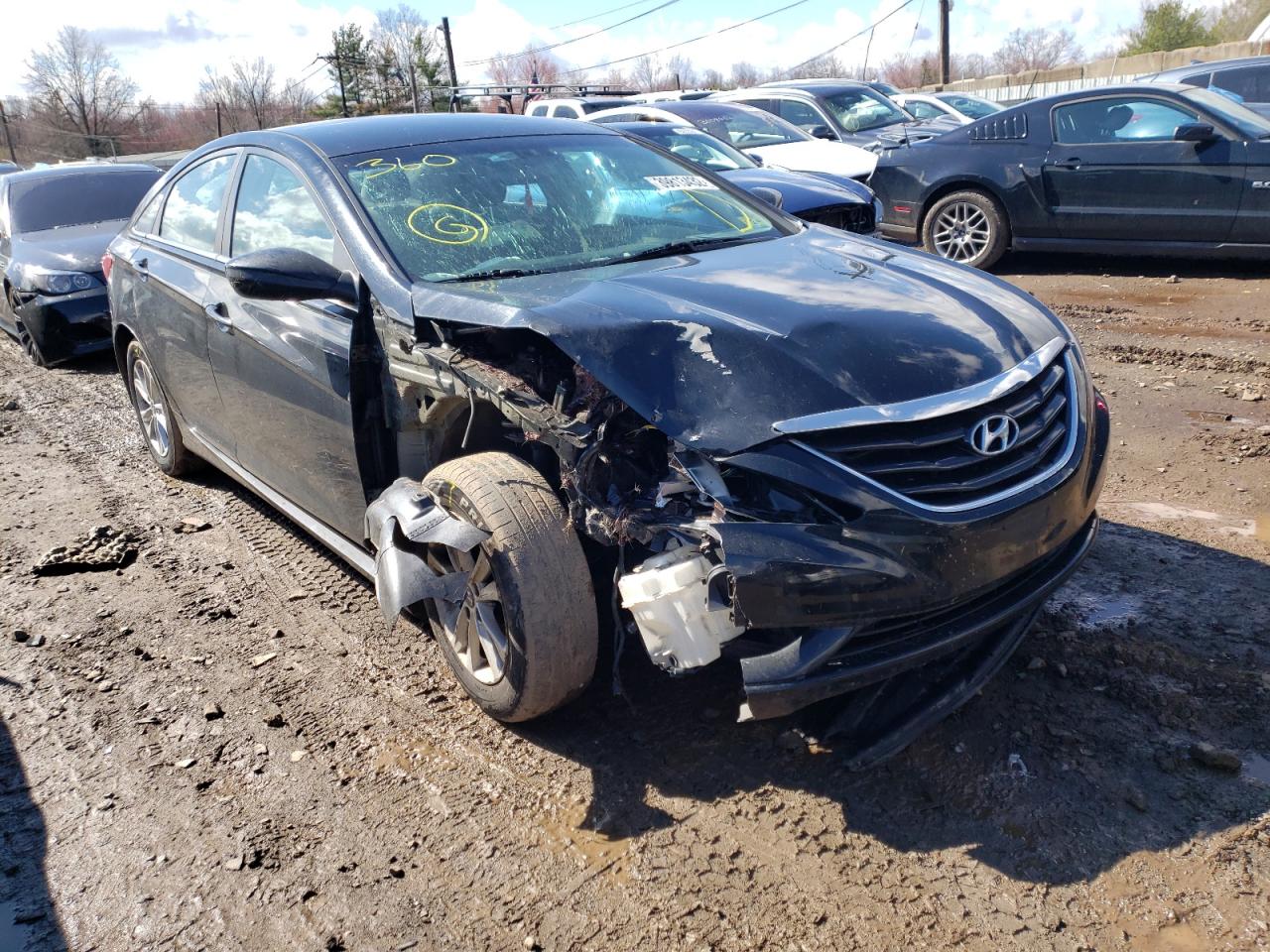 HYUNDAI SONATA GLS 2013 with VIN 5NPEB4AC5DH596828 - Photo from auction