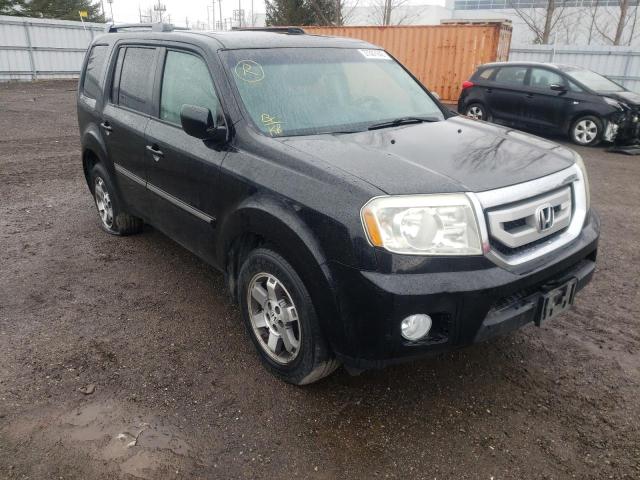 HONDA PILOT TOUR 2011 with VIN 5FNYF4H91BB502287 - Photo from auction