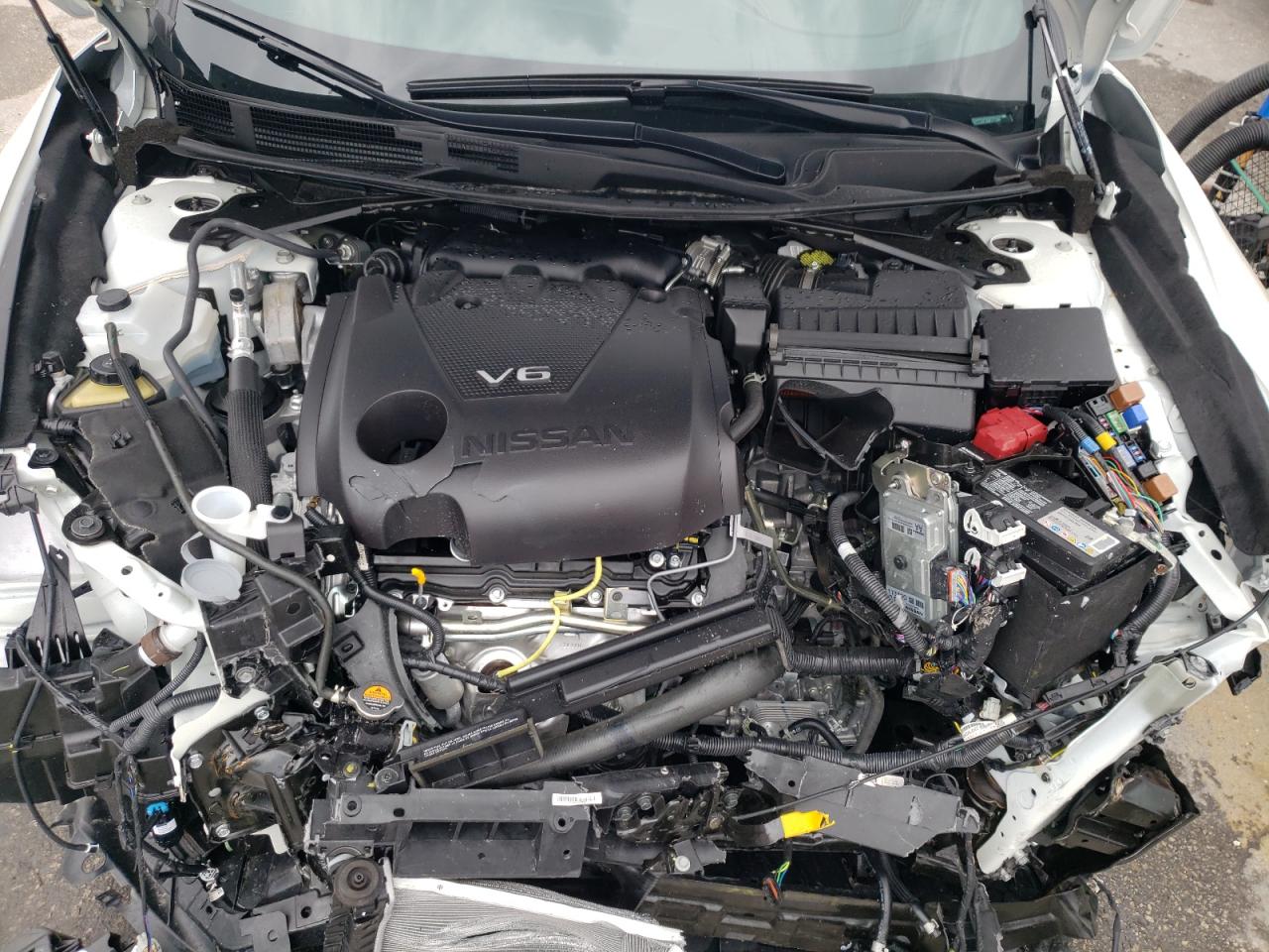 Photo 7 from auction – 2021 NISSAN MAXIMA SR with VIN 1N4AA6EV8MC510289