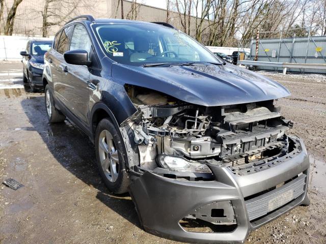 FORD ESCAPE SE 2016 with VIN 1FMCU9G9XGUC68191 - Photo from auction