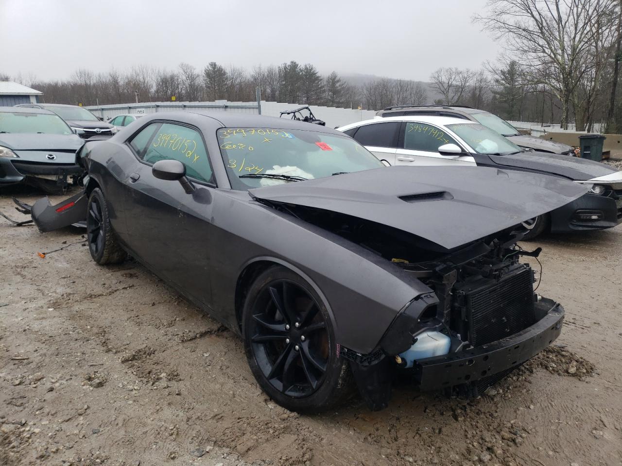 DODGE CHALLENGER 2016 with VIN 2C3CDZAGXGH195505 - Photo from auction