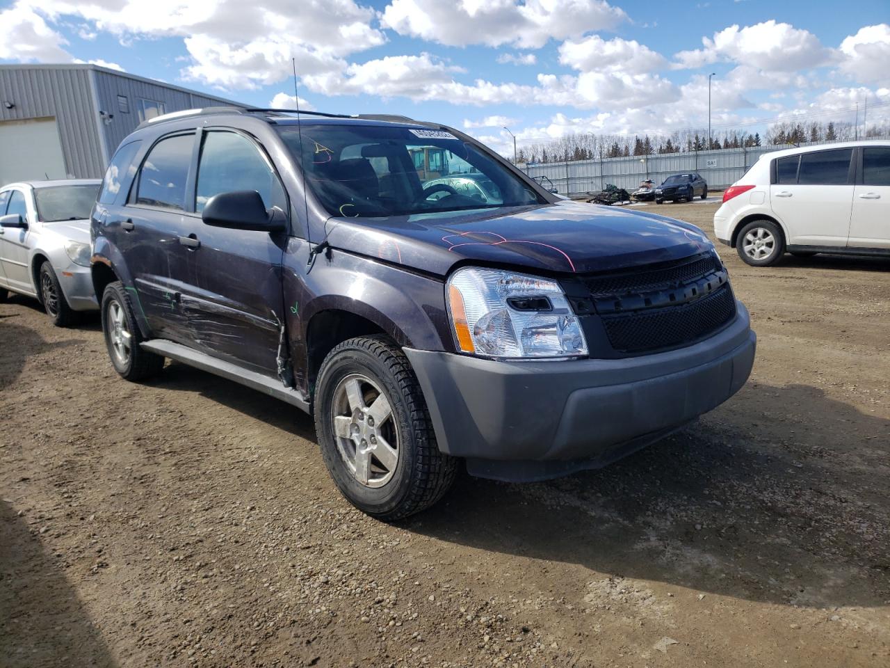 CHEVROLET EQUINOX LS 2006 with VIN 2CNDL23FX66022183 - Photo from auction