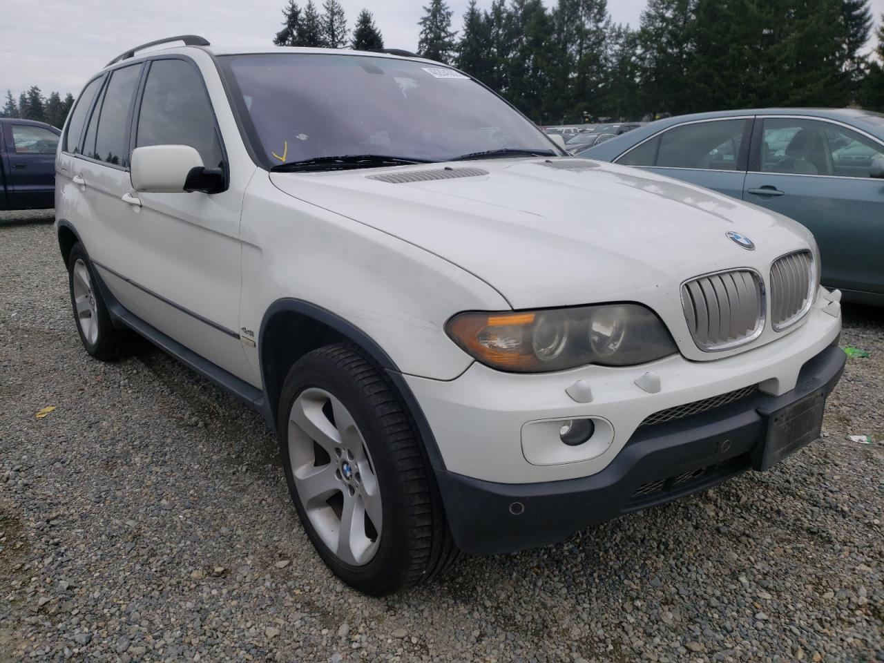 BMW X5 4.4I 2006 with VIN 5UXFB53536LV25665 - Photo from auction