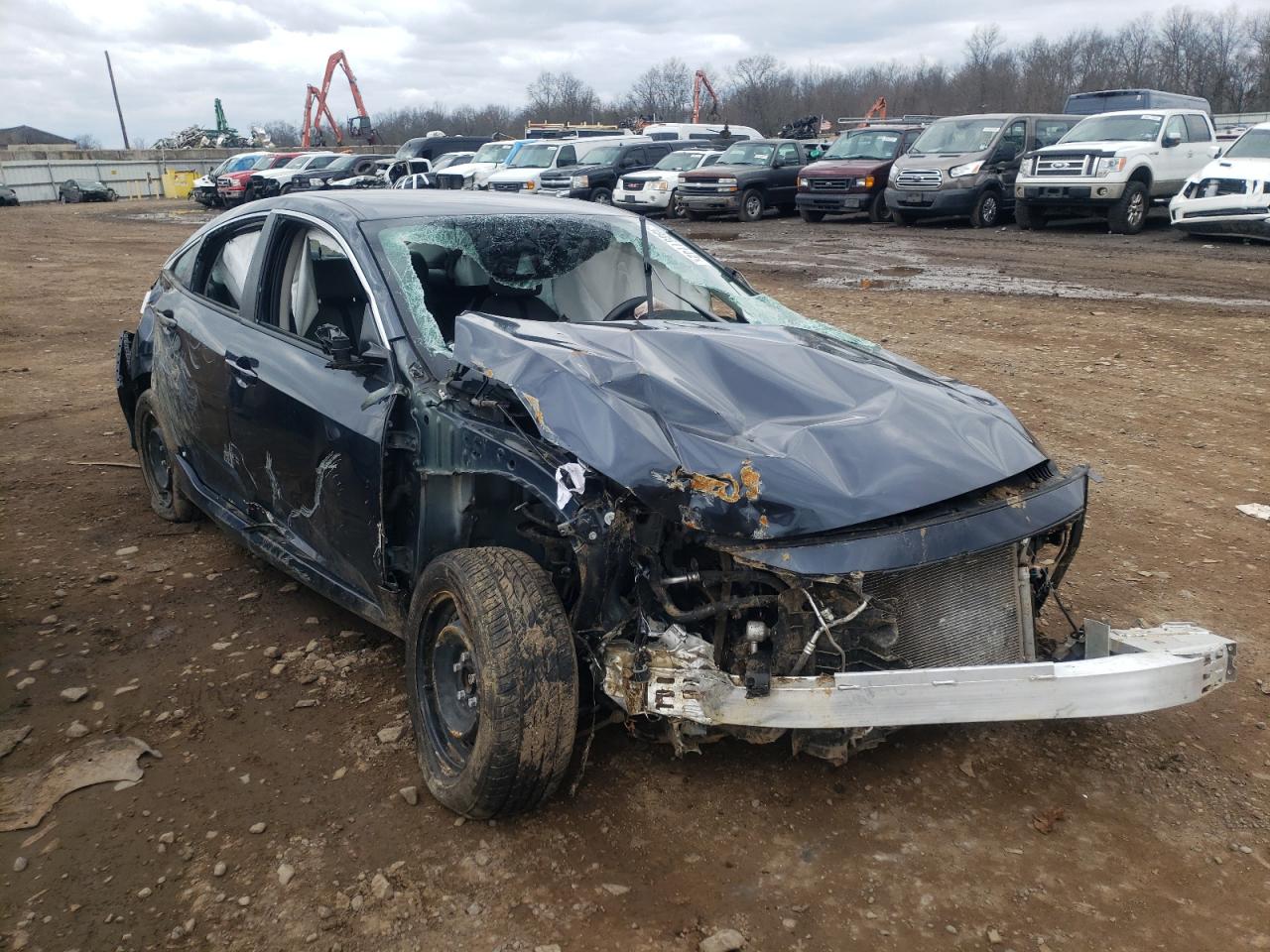HONDA CIVIC LX 2019 with VIN 2HGFC2F65KH537651 - Photo from auction