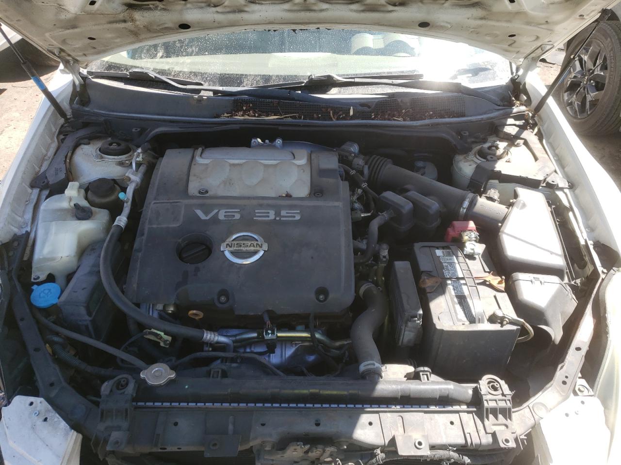 Foto 7 de la subasta – 2005 NISSAN MAXIMA SE con VIN 1N4BA41E95C854195