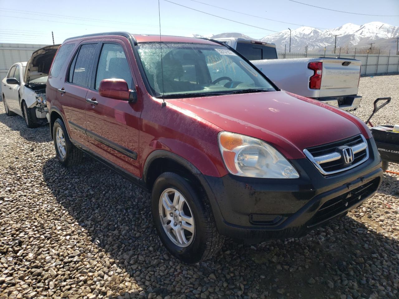 HONDA CR-V EX 2004 with VIN JHLRD78884C043846 - Photo from auction