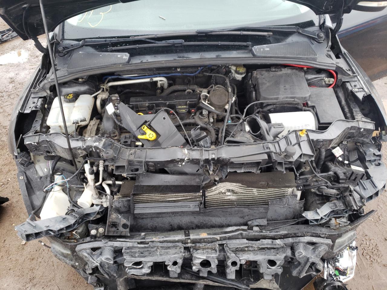 Photo 7 from auction – 2014 FORD FOCUS SE with VIN 1FADP3F29EL314376