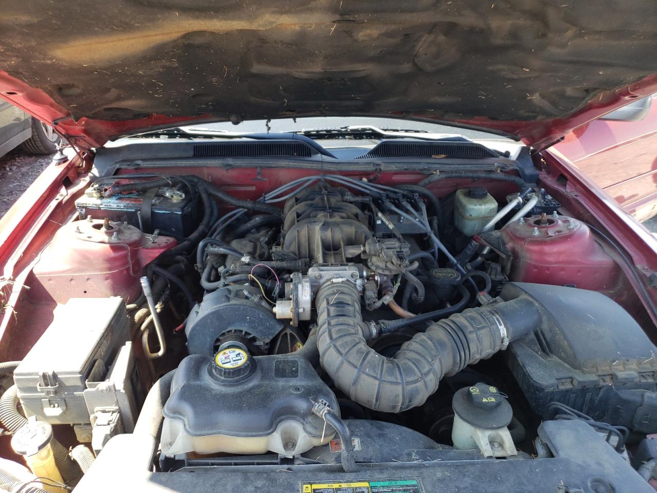 Photo 7 from auction – 2005 FORD MUSTANG with VIN 1ZVFT80N755175462