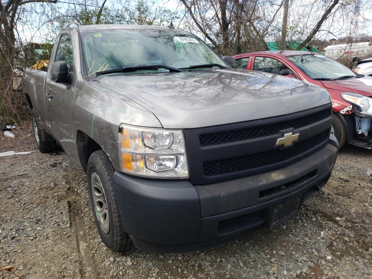 CHEVROLET SILVERADO 2009 with VIN 1GCEC14X79Z237460 - Photo from auction