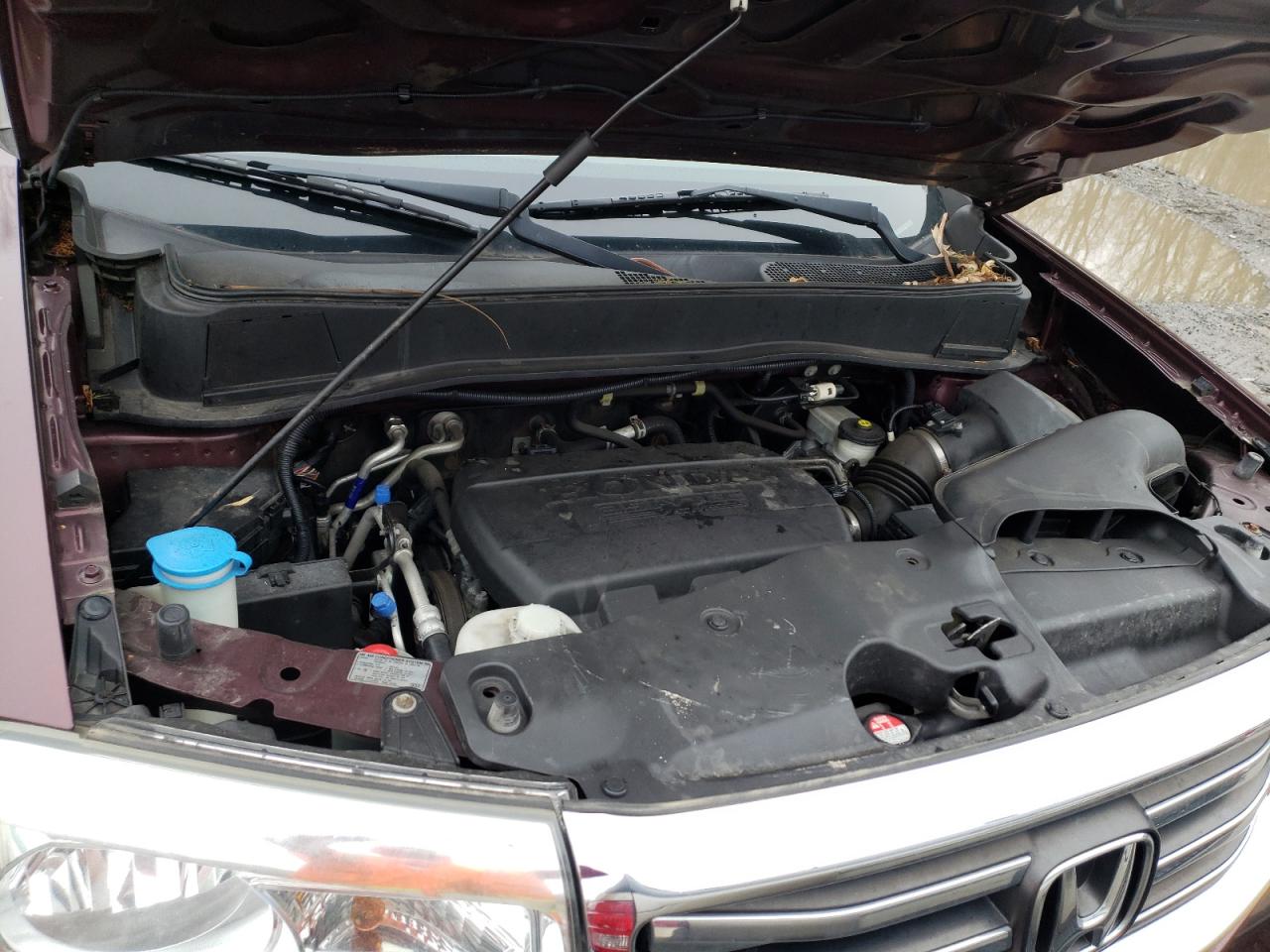 Фото 7 с аукциона – 2014 HONDA PILOT EXL с VIN 5FNYF4H53EB028182