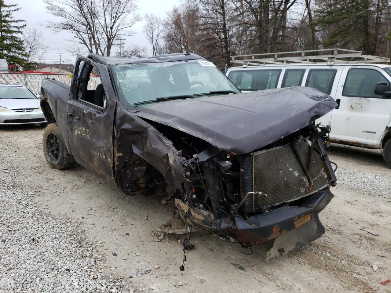 CHEVROLET SILVERADO 2008 with VIN 1GCEC14X78Z107077 - Photo from auction