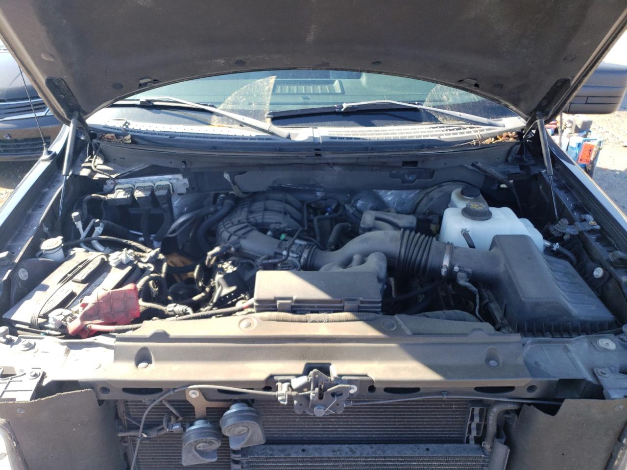 Photo 7 from auction – 2011 FORD F150 with VIN 1FTMF1CM7BFD34756