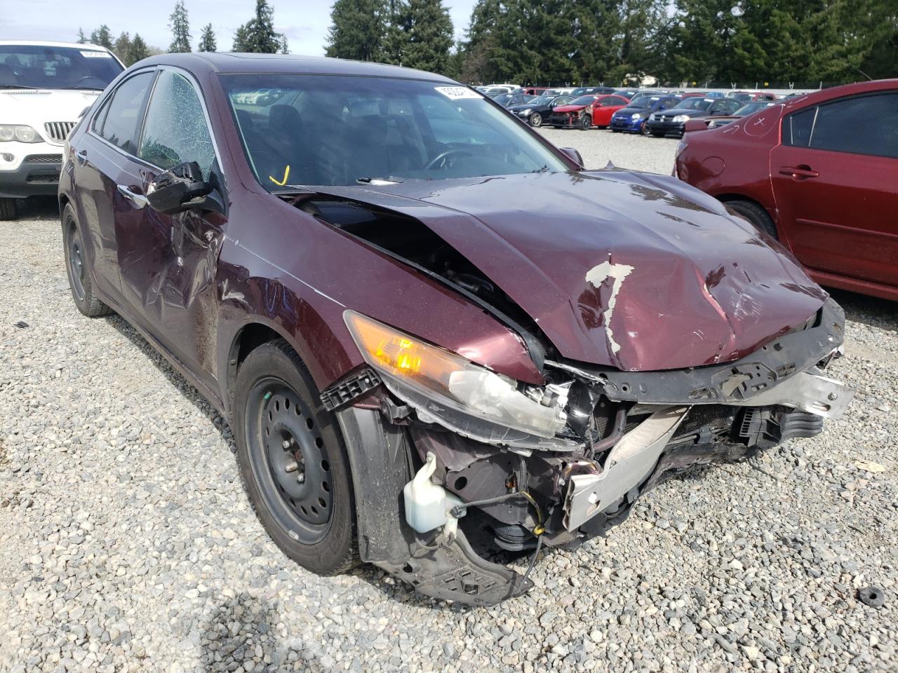 Photo 1 from auction – 2010 ACURA TSX with VIN JH4CU2F6XAC021767