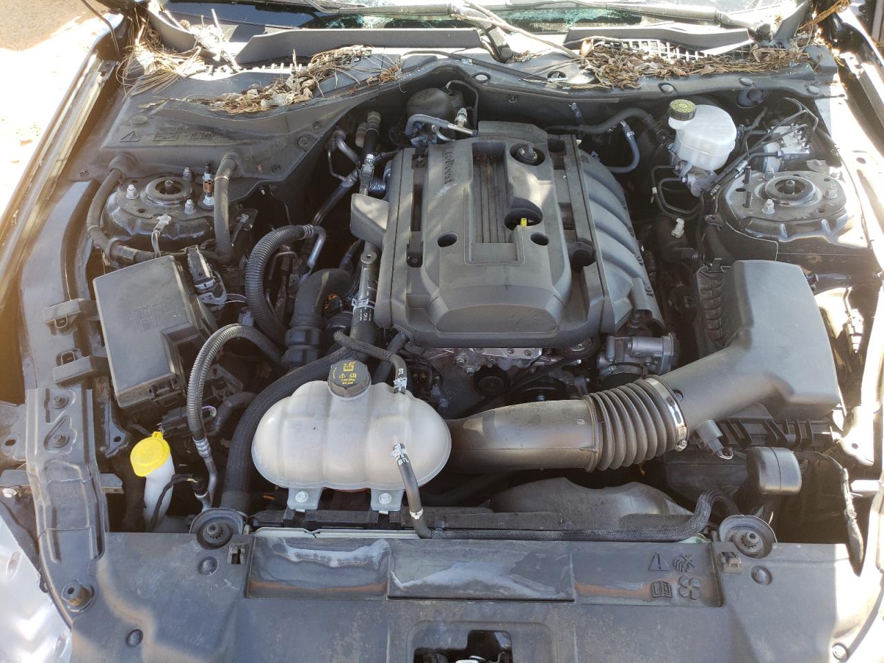 Photo 7 from auction – 2019 FORD MUSTANG with VIN 1FA6P8TH3K5185663